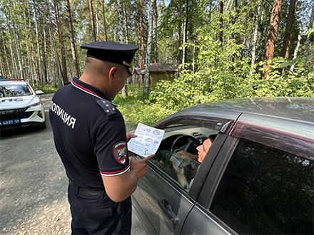 Госавтоинспекторы Первоуральска провели профилактическую акцию у водоемов