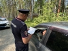 Госавтоинспекторы Первоуральска провели профилактическую акцию у водоемов