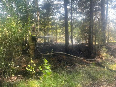 Сотрудники колонии КП-66 предотвратили крупный пожар вблизи учреждения