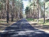 Парк новой культуры Первоуральска отмечает знаменательный юбилей
