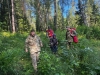 Волонтеры нашли 84-летнюю пенсионерку, заблудившуюся в лесу под Первоуральском