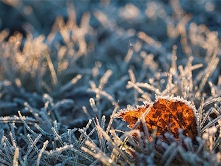 В Первоуральск пришли первые ночные заморозки. Чего ждать от погоды дальше?