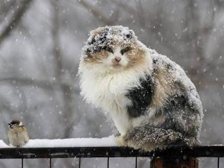 Синоптики дали прогноз на всю зиму в Первоуральске