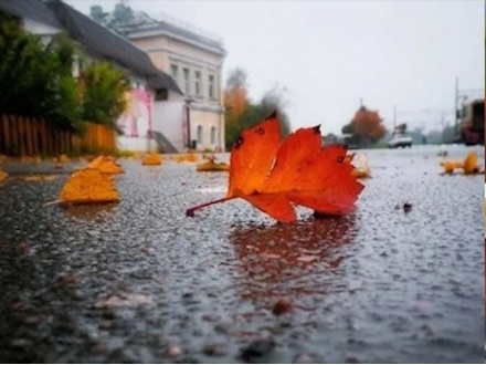 Погодой заправляют циклоны: каким будет конец октября в Перворуальске