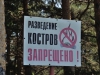 Жителям Свердловской области запретят ходить в лес и жарить шашлыки