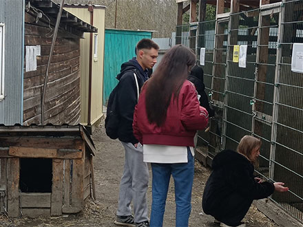 В Первоуральске приют для животных сообщил об обысках по делу о контрактах