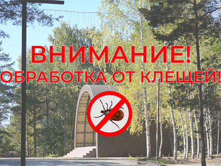 Парк Новой культуры в Первоуральске обработают от клещей: будьте осторожны
