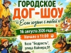 Парад пород, весёлые старты и костюмированное шоу: Первоуральск приглашает на дог-шоу «Если хозяин с тобой!»
