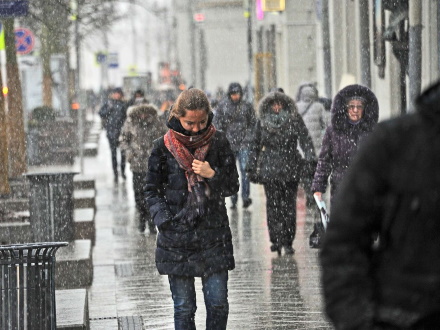 Фото публикации