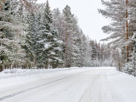 Какой будет погода в Первоуральске синоптики дали прогноз на весь январь