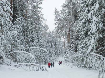 Синоптики дали прогноз на весь февраль в Первоуральске